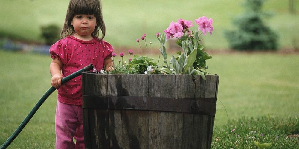 Make a Plan for Gardening Next Spring With Your Kids