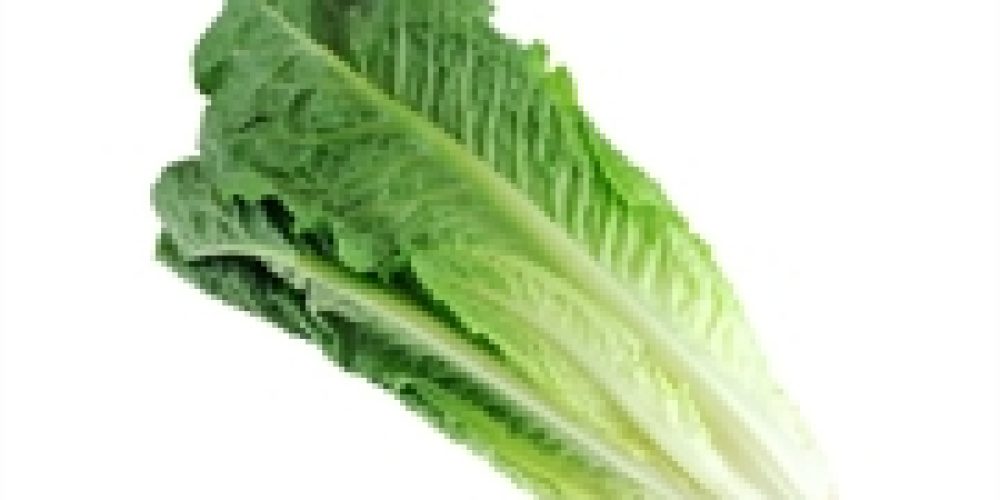 More E. coli Illnesses Linked to Tainted Romaine Lettuce