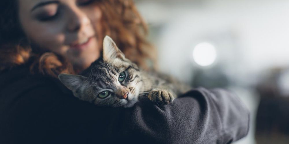 More evidence that pets benefit mental health