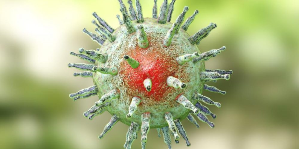 MS: Common herpesvirus variant raises risk