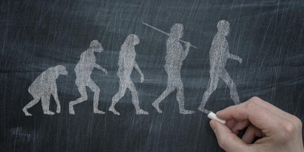 New research may explain why evolution made humans &#8216;fat&#8217;