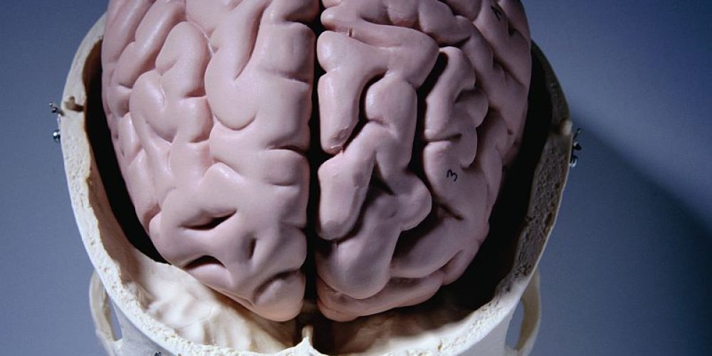 Severe Deprivation in Childhood Has Lasting Impact on Brain Size