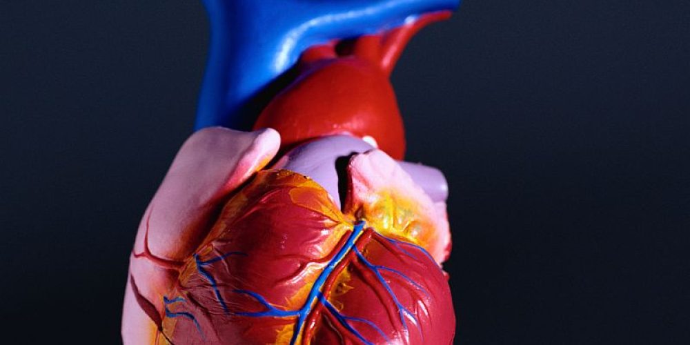 The Earlier You Develop Type 2 Diabetes, the Greater Your Heart Risks