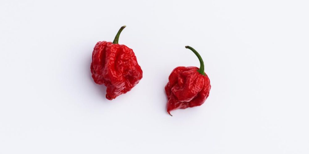 Thunderclap headache caused by the world&#8217;s hottest chili pepper