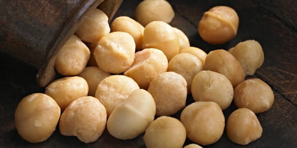 What are macadamia nuts good for?