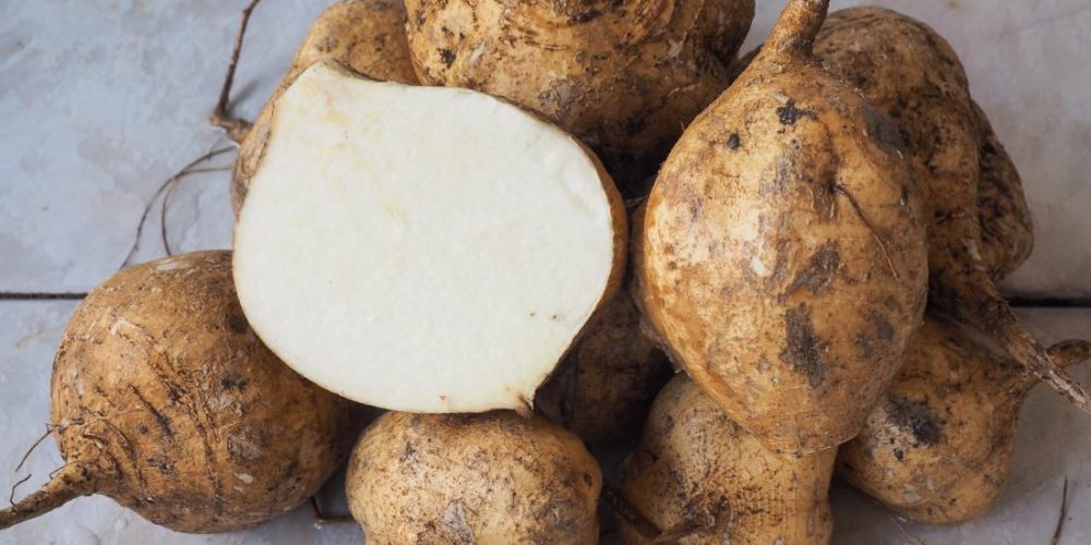 What are the health benefits of jicama?