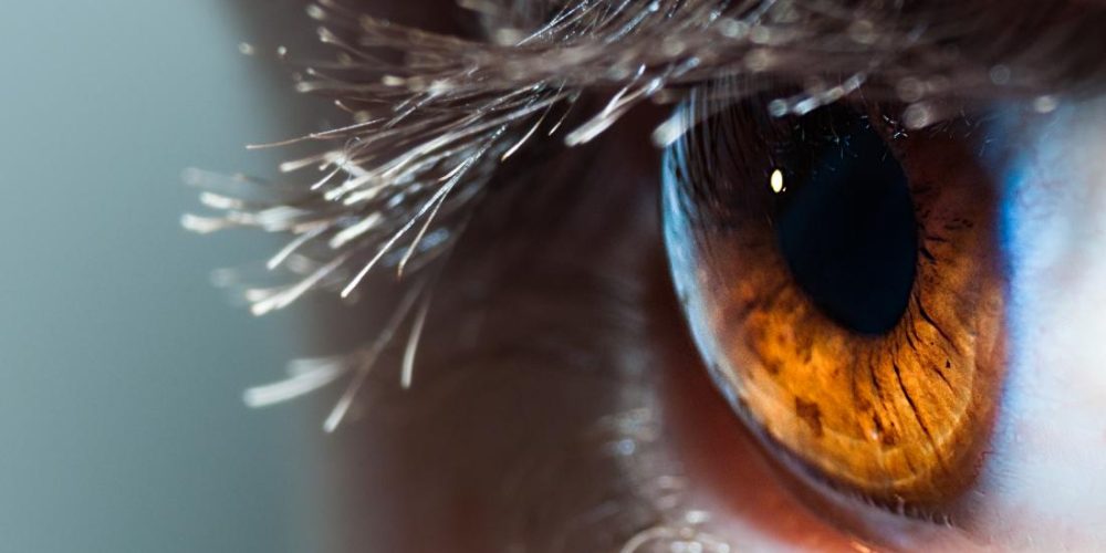 World first: Doctors use &#8216;reprogrammed&#8217; stem cells to repair cornea