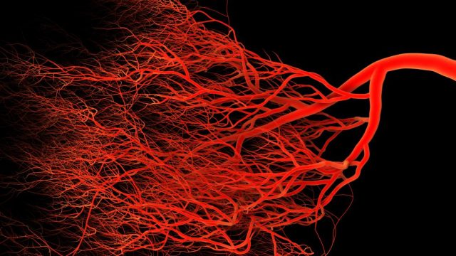 Leaky blood vessels may trigger Alzheimer’s