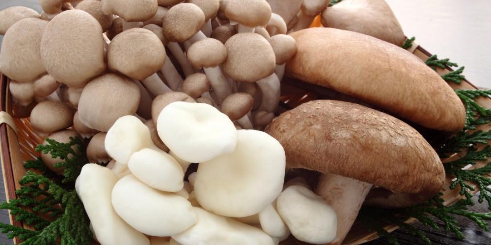 Eating mushrooms might reduce prostate cancer risk