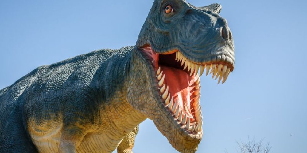How Giant Dinosaurs Evolved to Stay Cool