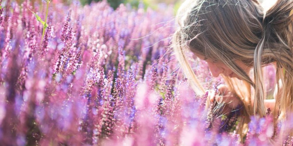 Does lavender really help with anxiety?