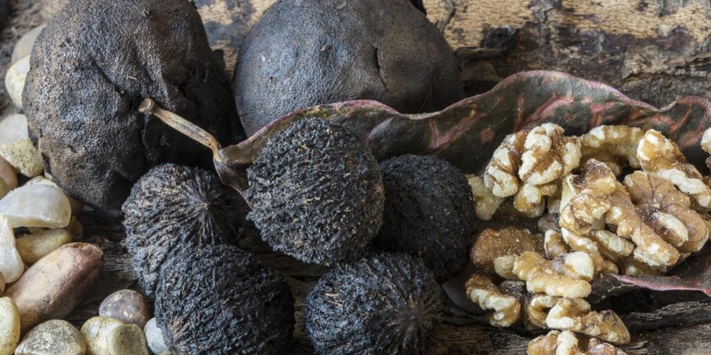 Are black walnuts good for you?