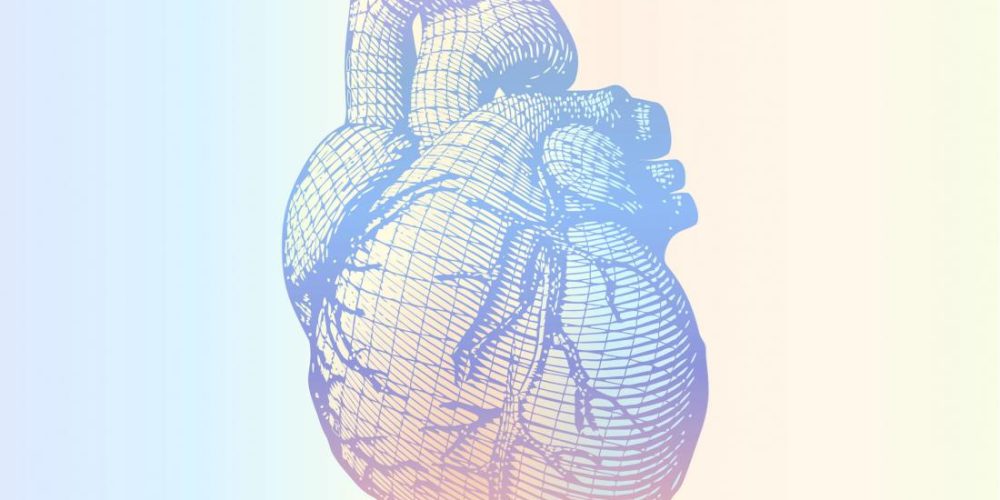 How an omega-6 fatty acid may keep heart disease at bay