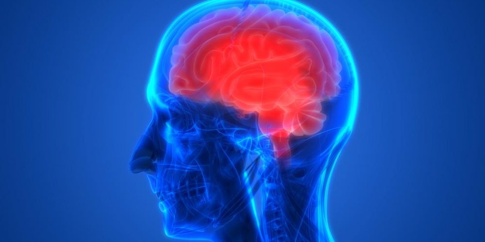 Researchers may stop Parkinson&#8217;s by &#8216;cooling off&#8217; brain