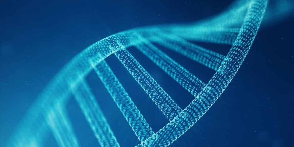 Cancer: These 4 genes help predict outcome