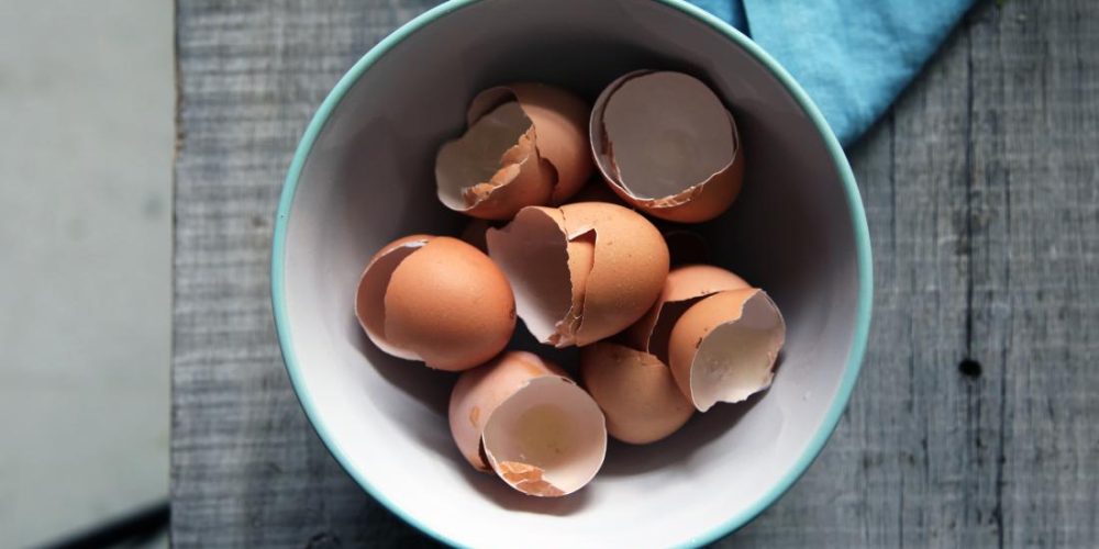 How crushed eggshells could help repair bone damage