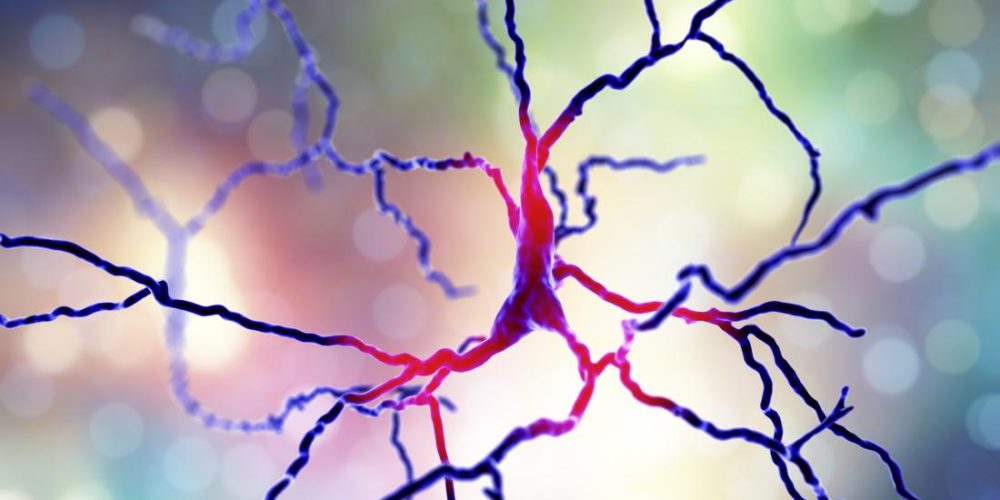 Parkinson&#8217;s: New treatment approach shows promise in brain cells