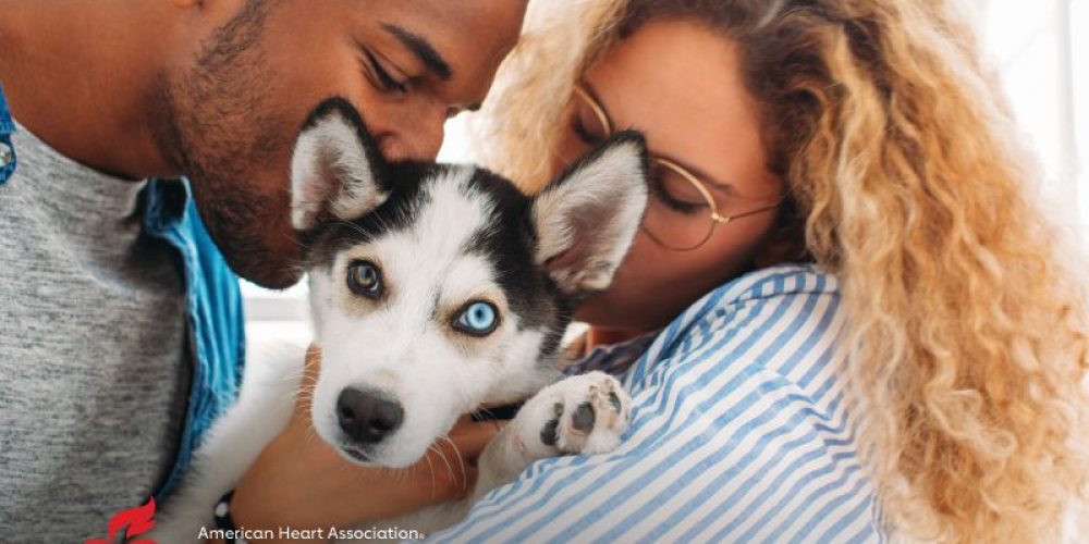 AHA News: These Super Sunday Puppies Aren&#8217;t Just Adorable, They Can Be Good for Health