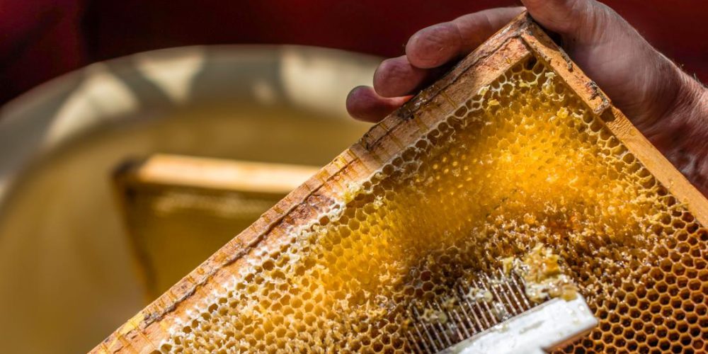 What are the health benefits of raw honey?