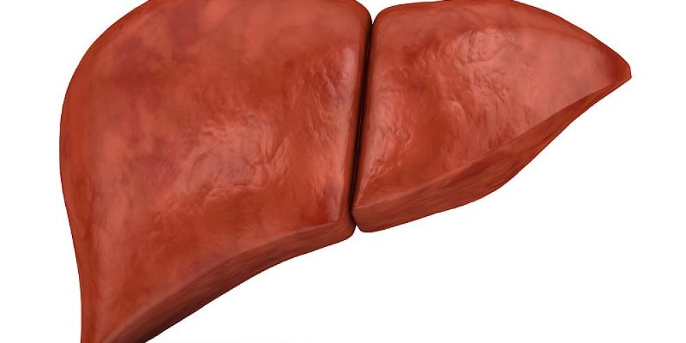 A &#8216;Supercool&#8217; Breakthrough for Patients Awaiting Liver Transplant