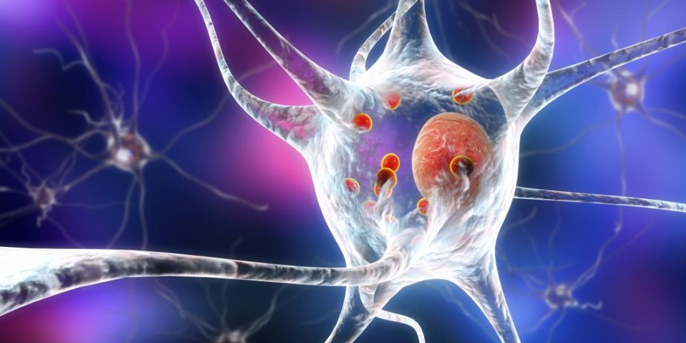 Scientists confirm the role of &#8216;molecular switch&#8217; in Parkinson&#8217;s disease