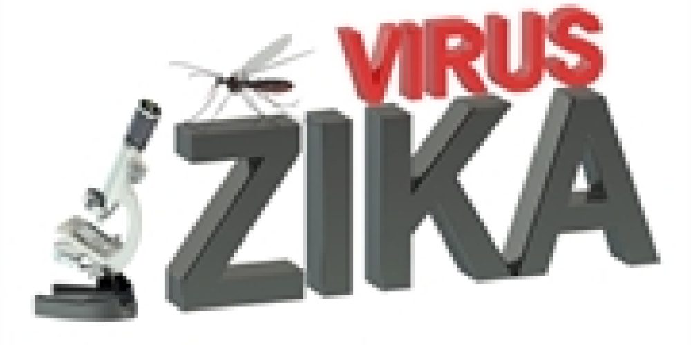 Study Gives Hope for Zika Vaccine That Might Shield the Fetus