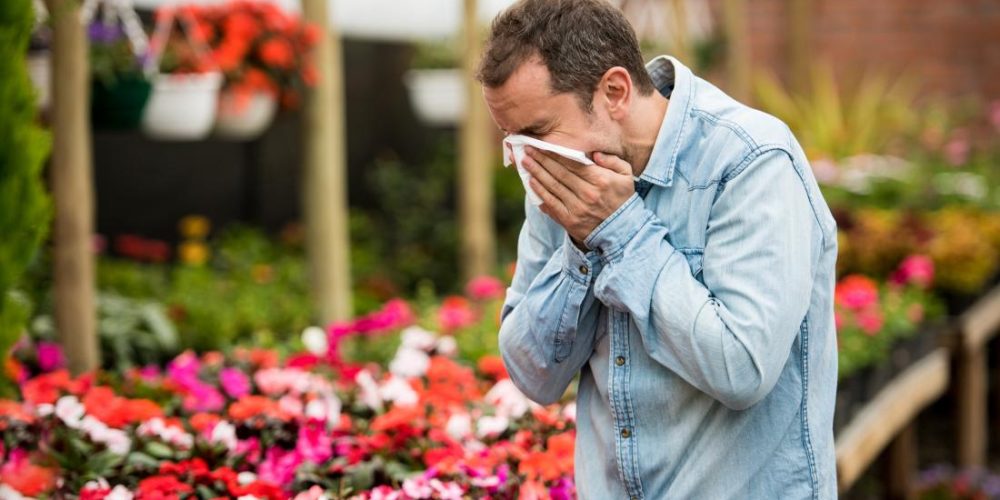 Top 5 natural antihistamines for allergies