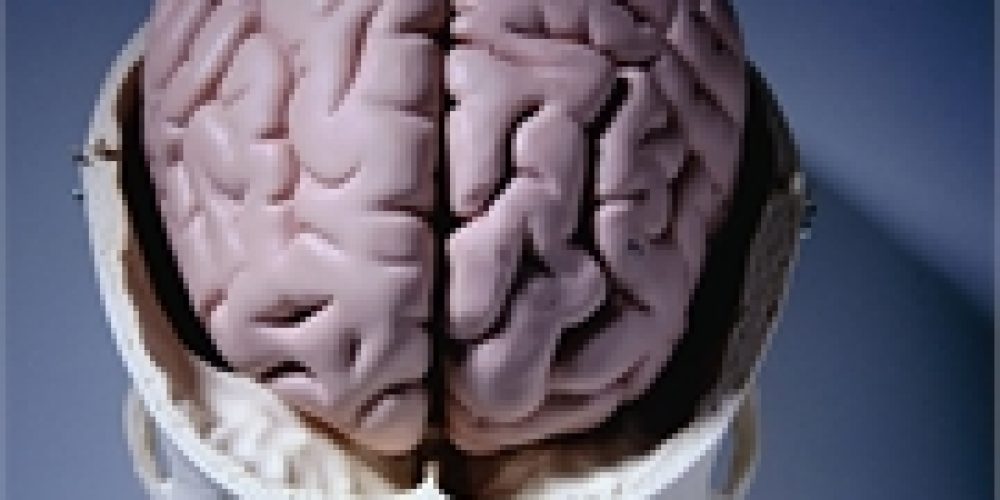 Differences Found in Brains of Kids Born to Depressed Parents