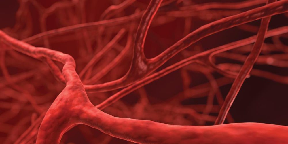 How blood vessel health may drive IBD