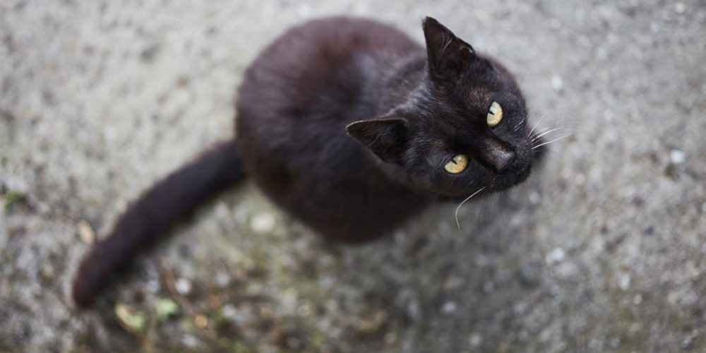 How do superstitions affect our psychology and well-being?