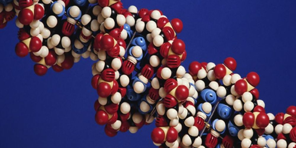 How to Protect Your DNA for Big Health Benefits