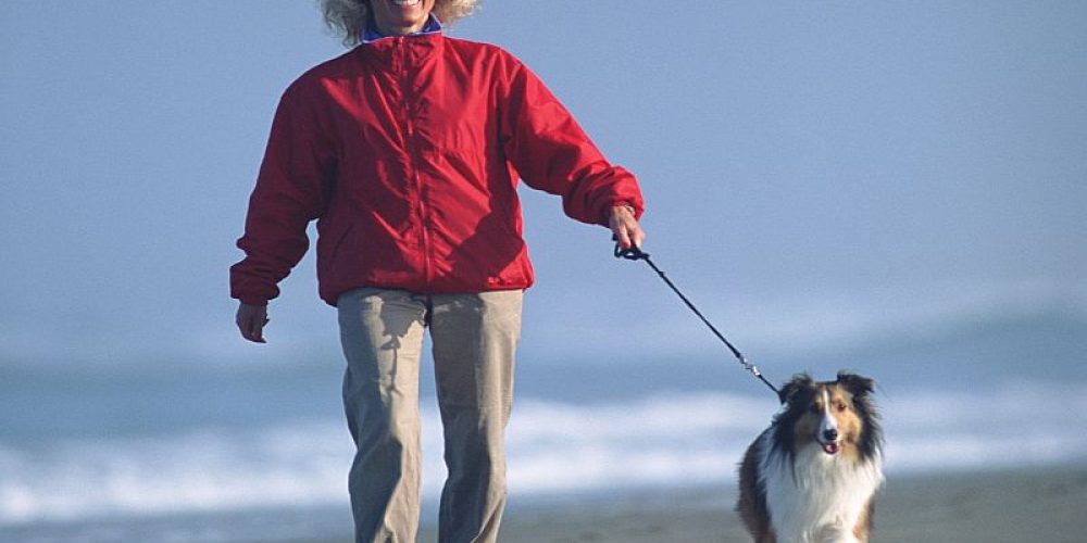 Your Dog May Be Leading You to a Healthier Heart