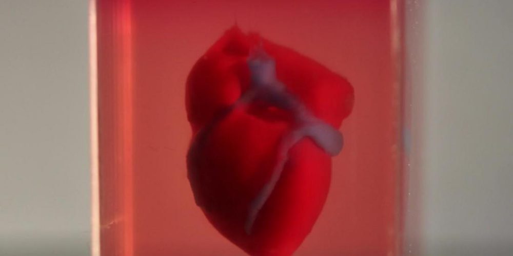 Scientists &#8216;print&#8217; 3D heart using patient&#8217;s tissue