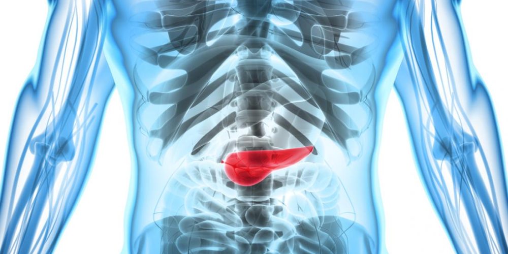 Can you live without a pancreas?