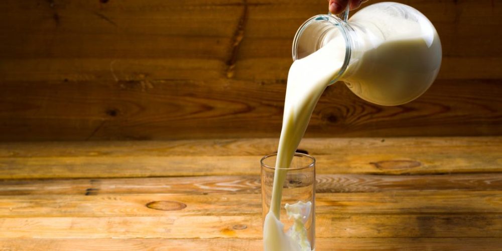 Could a bacterium found in milk trigger rheumatoid arthritis?
