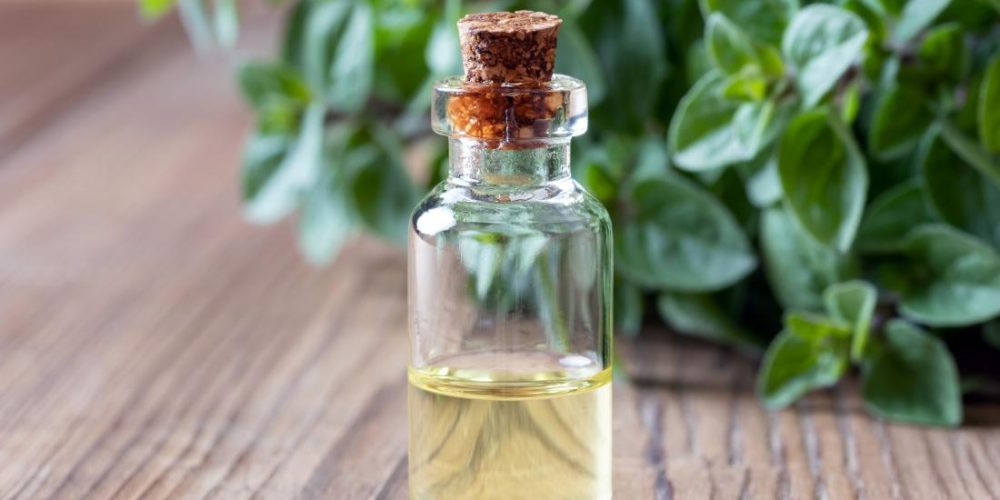 Everything you need to know about essential oils