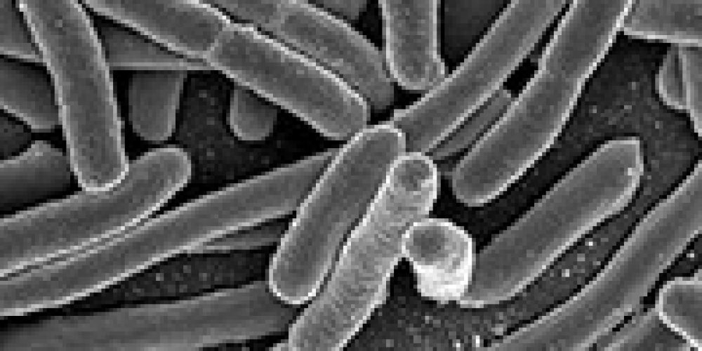 Still No Source as E. Coli Outbreak Grows to 96 Cases Across 5 States: CDC