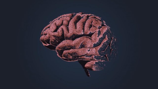 Alzheimer’s: What leads to brain cell damage?